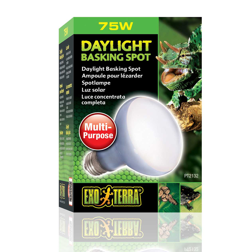 Exo Terra Daylight Basking Spot 75W Żarówka Grzewcza do Terrarium